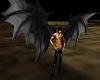 Abel wings