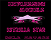 Star Model *BS