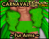 ! Carnaval Green Arms