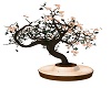 Pleasure Blossoms Tree
