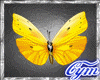 Cym Butterfly Pin Der