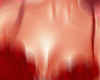 Roses vday v1