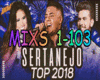 Top Sertanejo 2018