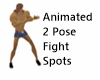 Fight Spots