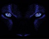 Panther Eyes