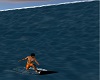 ola + tabla surf