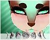 ☆ Maryn Brows