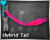 D~Hybrid Tail: Pink M/F