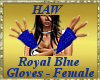 Royal Blue Gloves - F
