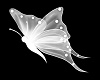 StarLight Butterfly Club