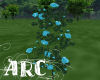 ARC Bright Blue Roses