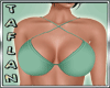 T* Summer Teal Bikini
