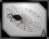 *AJ*Spider web