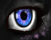 *~Blue Fairy eyes~*