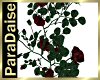 [PD] Red Rose Vine