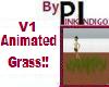 PI - AnimatedGrass-V1
