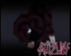 TAIL :: Czar