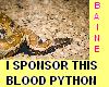 i sponsor a live snake