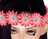 Kid Hair Flowers