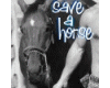 Save A Horse
