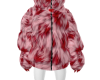 February Beary Coat