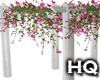 Pergolato Flowers