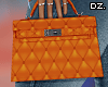 Ryna Orange Bag!