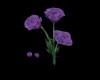 G&B Purple flower  tears
