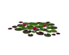 Water Flowers