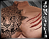 Scratch Tiger Full Tatto