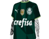 ⚽ Palmeiras 2023 ⚽