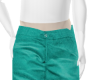 Hawaii Teal Beach Shorts