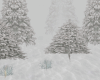 Winter/Forest