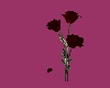 C* flower animated