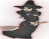 ML~Witch on Broom