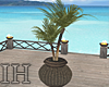 [IH]Beach Plant V1