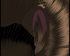Quillo Ears V4