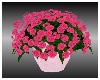Pink Wedding Flower Pot