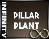 Infinity Pillar Plant