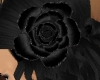 Black Satin Rose
