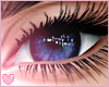 Starry - Midnight Eyes