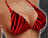*Sexy Red Zebra Bikini