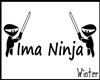 [Winter]Ima Ninja