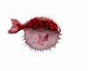Fugus Fish Anim 2