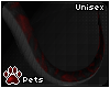 [Pets] Geno | tail v2