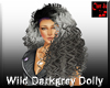 Wild Dark Grey Dolly