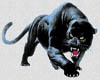 (PP)Pouncing Panther