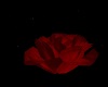 Rose chair