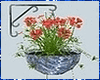 Kawaii Hanging Plant