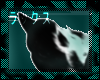 IRATI. tail